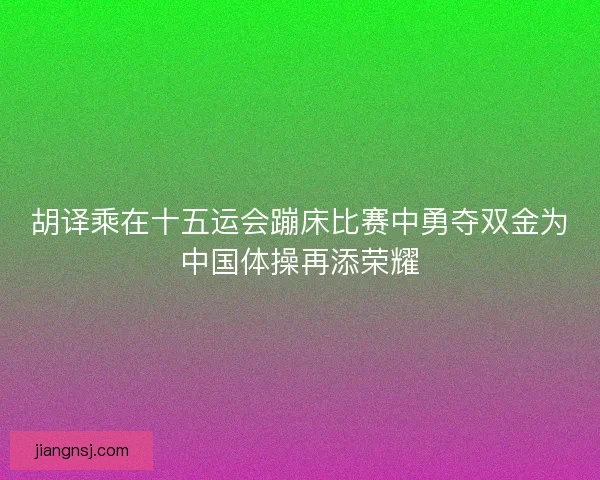 胡译乘在十五运会蹦床比赛中勇夺双金为中国体操再添荣耀