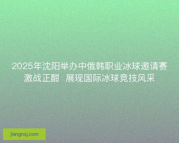 2025年沈阳举办中俄韩职业冰球邀请赛激战正酣  展现国际冰球竞技风采