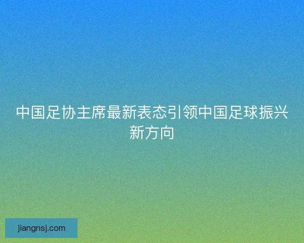 中国足协主席最新表态引领中国足球振兴新方向