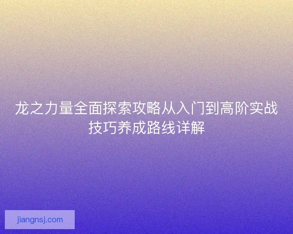 龙之力量全面探索攻略从入门到高阶实战技巧养成路线详解
